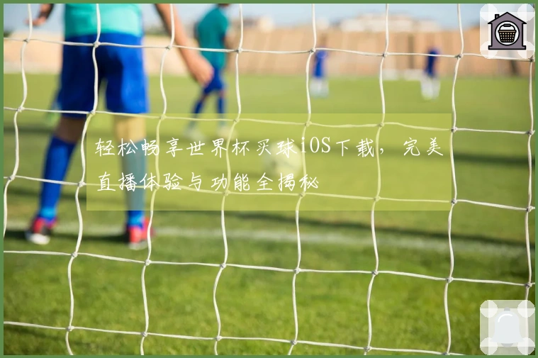轻松畅享世界杯买球iOS下载，完美直播体验与功能全揭秘