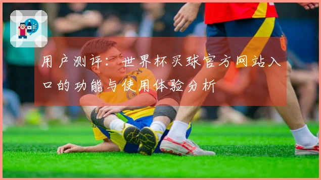 用户测评：世界杯买球官方网站入口的功能与使用体验分析