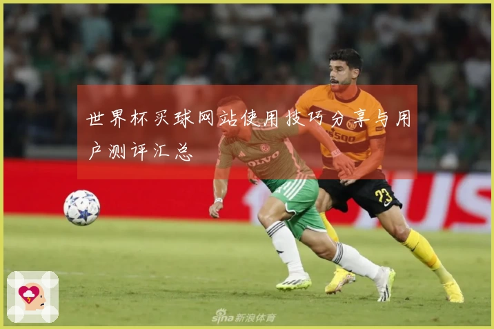 世界杯买球网站使用技巧分享与用户测评汇总