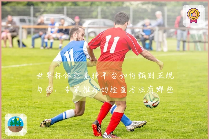 世界杯体彩竞猜平台如何甄别正规与否，专家推荐的检查方法有哪些？