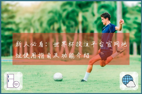 新人必看：世界杯投注平台官网地址使用指南及功能介绍