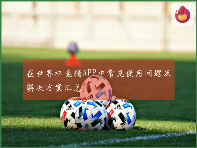 在世界杯竞猜APP中常见使用问题及解决方案汇总