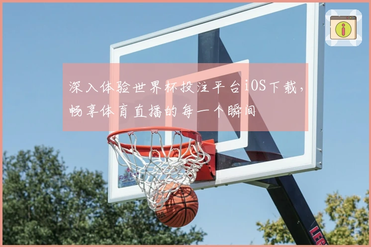 深入体验世界杯投注平台iOS下载，畅享体育直播的每一个瞬间