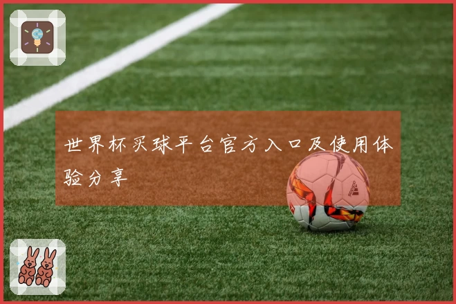世界杯买球平台官方入口及使用体验分享