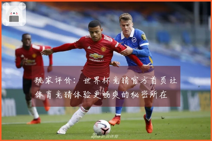 玩家评价：世界杯竞猜官方首页让体育竞猜体验更畅爽的秘密所在