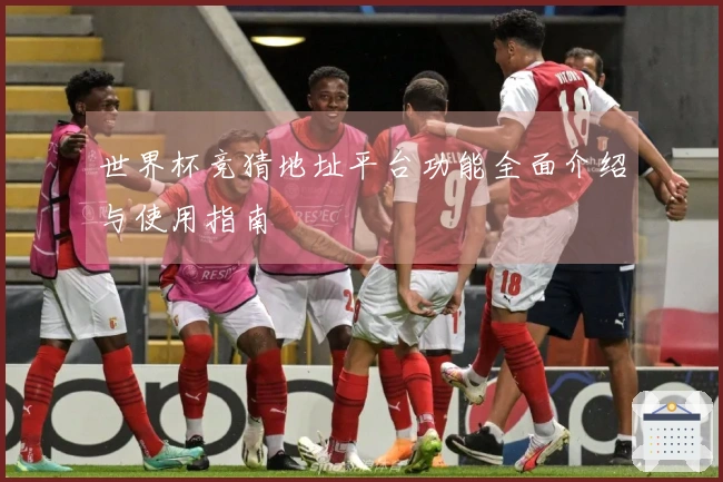 世界杯竞猜地址平台功能全面介绍与使用指南
