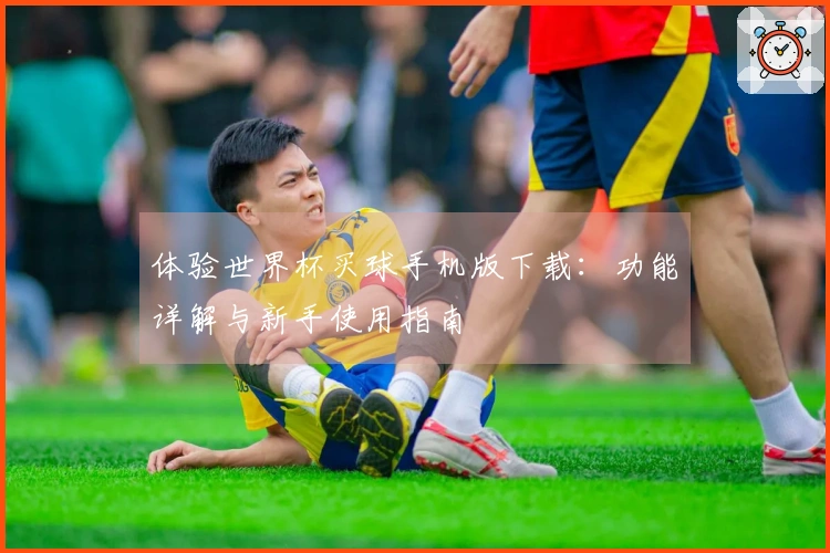 体验世界杯买球手机版下载：功能详解与新手使用指南