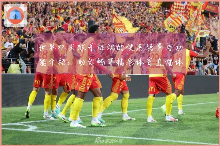 世界杯买球手机端的使用场景与功能介绍，助你畅享精彩体育直播体验
