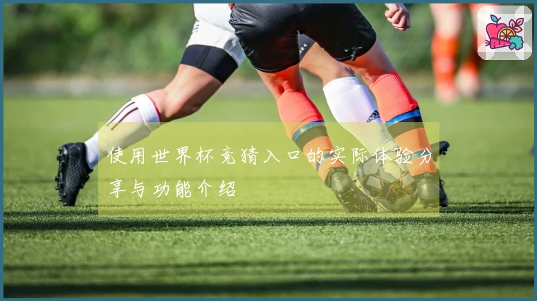 使用世界杯竞猜入口的实际体验分享与功能介绍