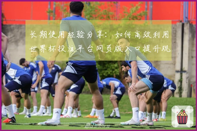 长期使用经验分享：如何高效利用世界杯投注平台网页版入口提升观赛体验