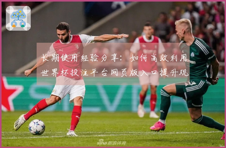 长期使用经验分享：如何高效利用世界杯投注平台网页版入口提升观赛体验