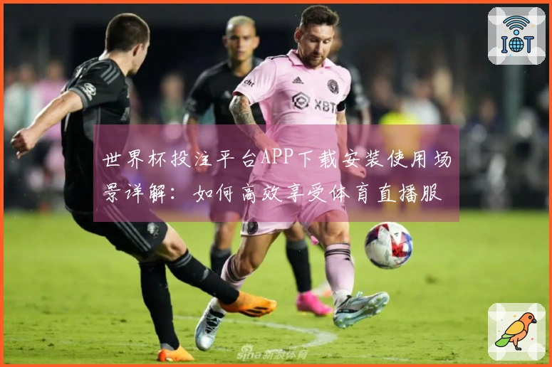 世界杯投注平台APP下载安装使用场景详解：如何高效享受体育直播服务