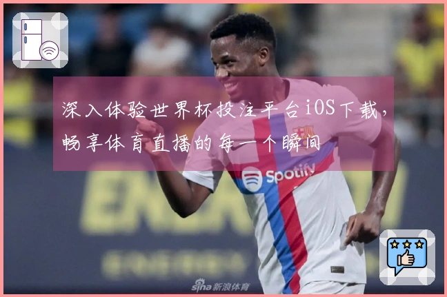 深入体验世界杯投注平台iOS下载，畅享体育直播的每一个瞬间