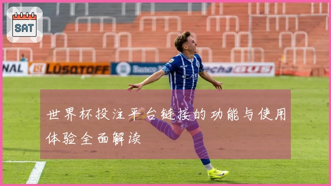 世界杯投注平台链接的功能与使用体验全面解读