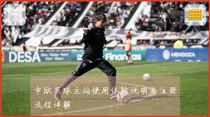 中欧买球主站使用体验说明与注册流程详解