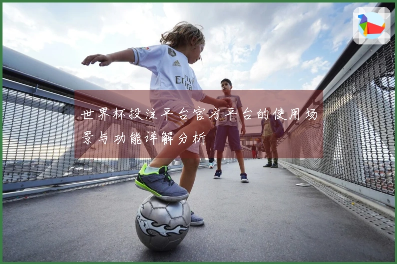 世界杯投注平台官方平台的使用场景与功能详解分析