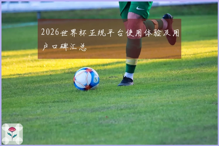 2026世界杯正规平台使用体验及用户口碑汇总