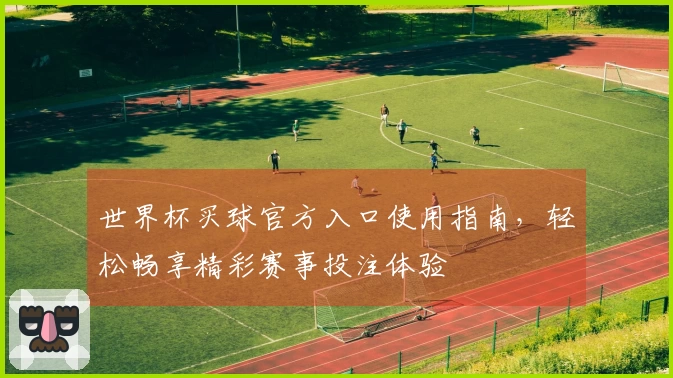 世界杯买球官方入口使用指南，轻松畅享精彩赛事投注体验