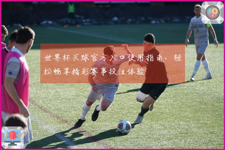 世界杯买球官方入口使用指南,轻松畅享精彩赛事投注体验
