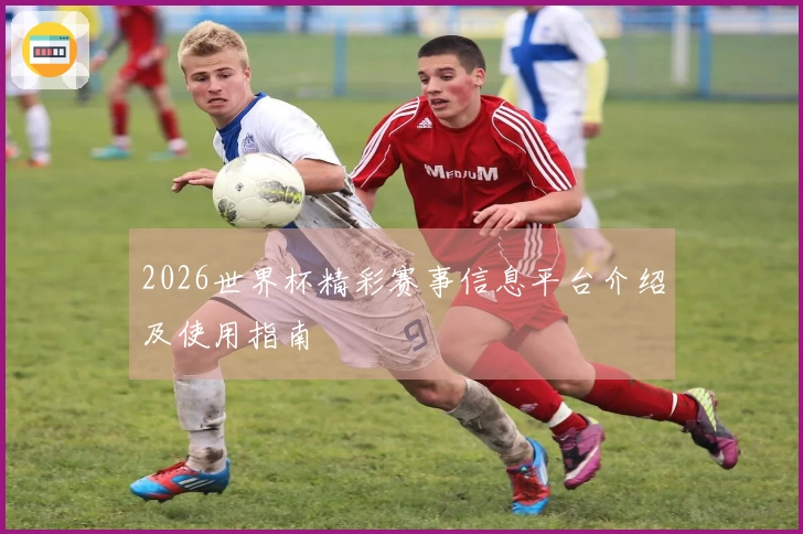 2026世界杯精彩赛事信息平台介绍及使用指南