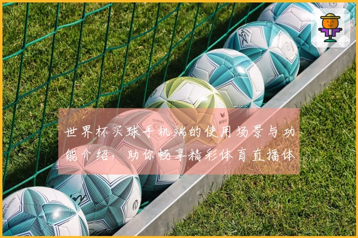 世界杯买球手机端的使用场景与功能介绍，助你畅享精彩体育直播体验