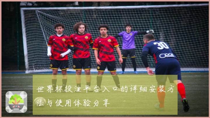 世界杯投注平台入口的详细安装方法与使用体验分享