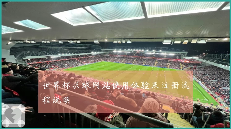 世界杯买球网站使用体验及注册流程说明