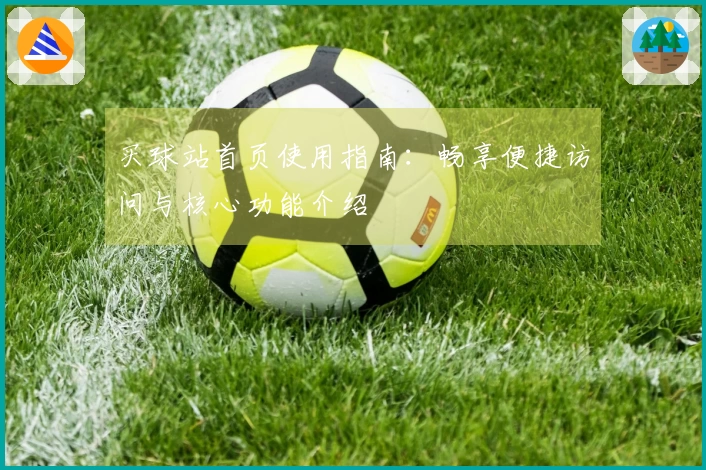买球站首页使用指南：畅享便捷访问与核心功能介绍